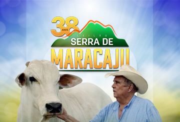 LEILÃO SERRA DE MARACAJU - 38 ANOS